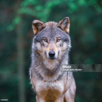 A quick story with a really long title to test what it looks like on the home page.  Aaaargh!  This is totally intolerable! why won’t it fit!?